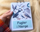 Fugler i Norge thumbnail